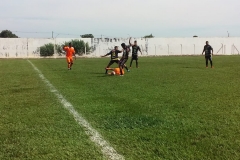 508e090b-445c-415b-9145-0cbbae259e114