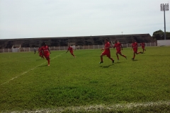 51f4d0de-c3e8-4b6a-9551-d329f52a15ab